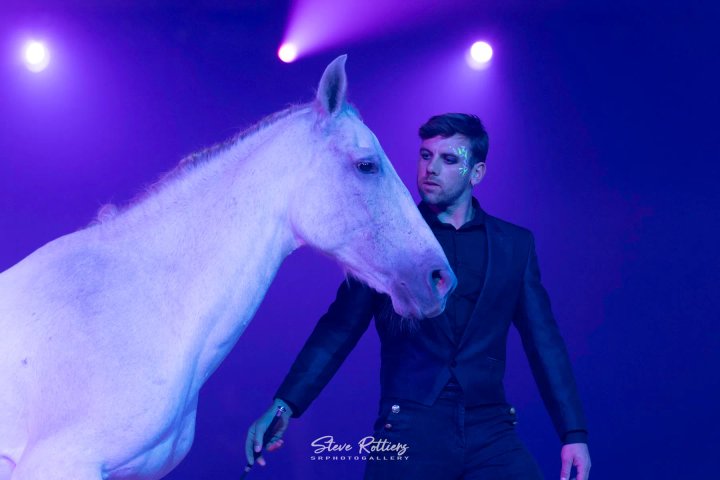 Vrijheidsdressuur: wit paard en trainer in de spotlight