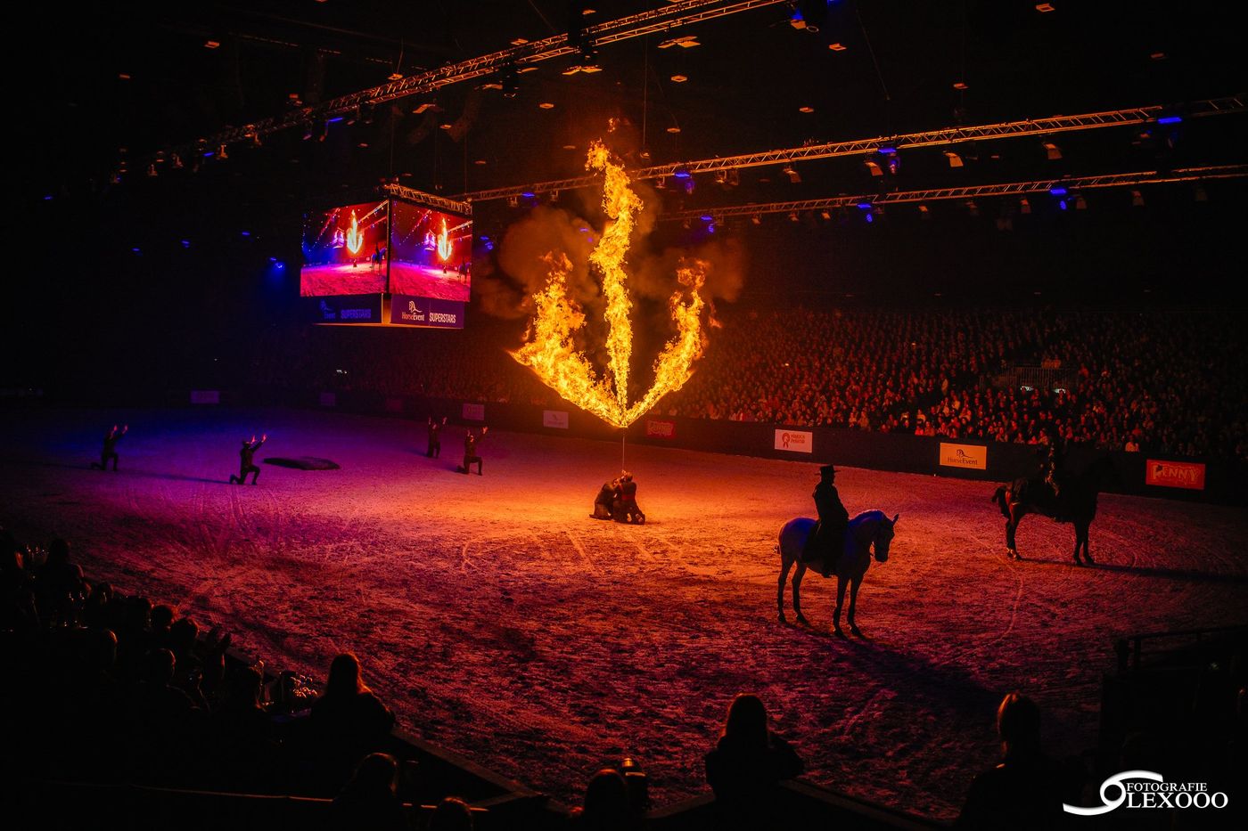 meraki vuurshow paarden 