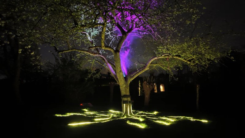 Tree of Life sfeerbeeld 1