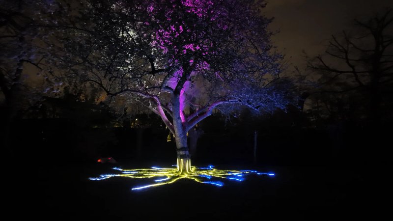 Tree of Life sfeerbeeld 5