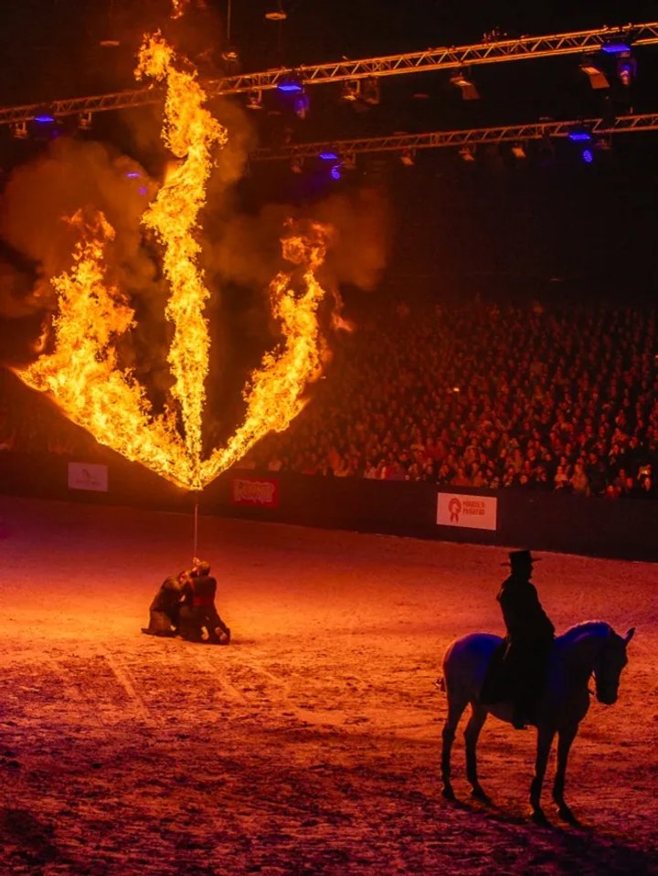 Horse Event Superstars atmosphere 6