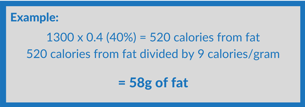 Macro Counting for Fat Loss: The Basics