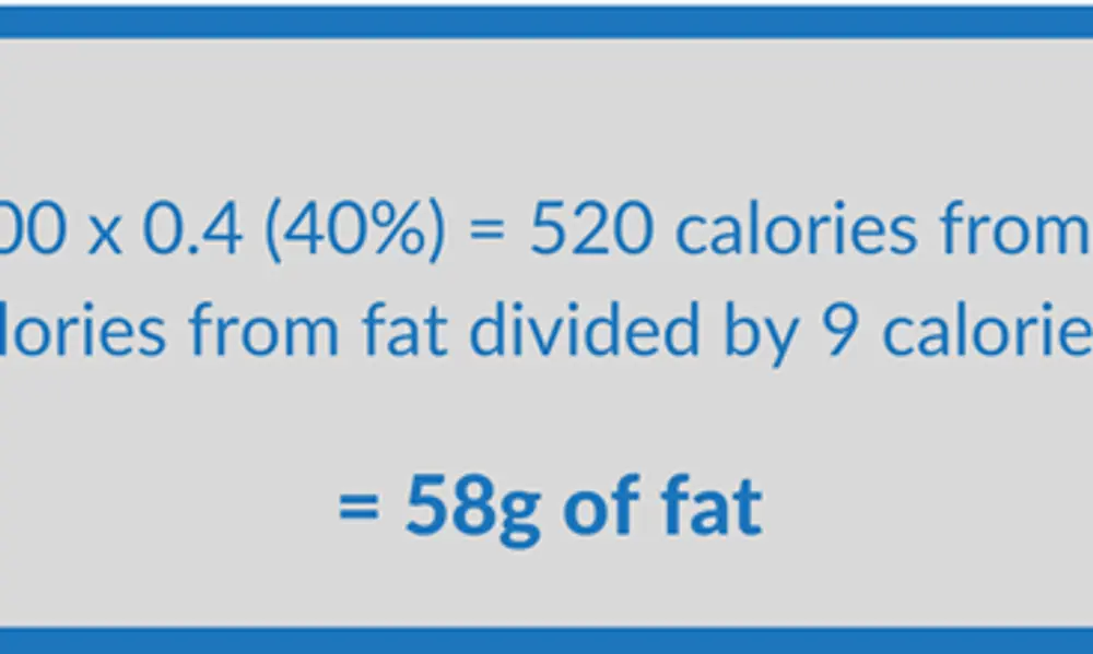Macro Counting for Fat Loss: The Basics
