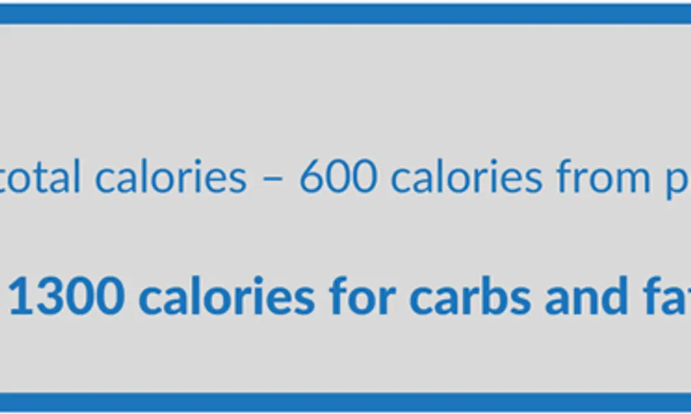 Macro Counting for Fat Loss: The Basics
