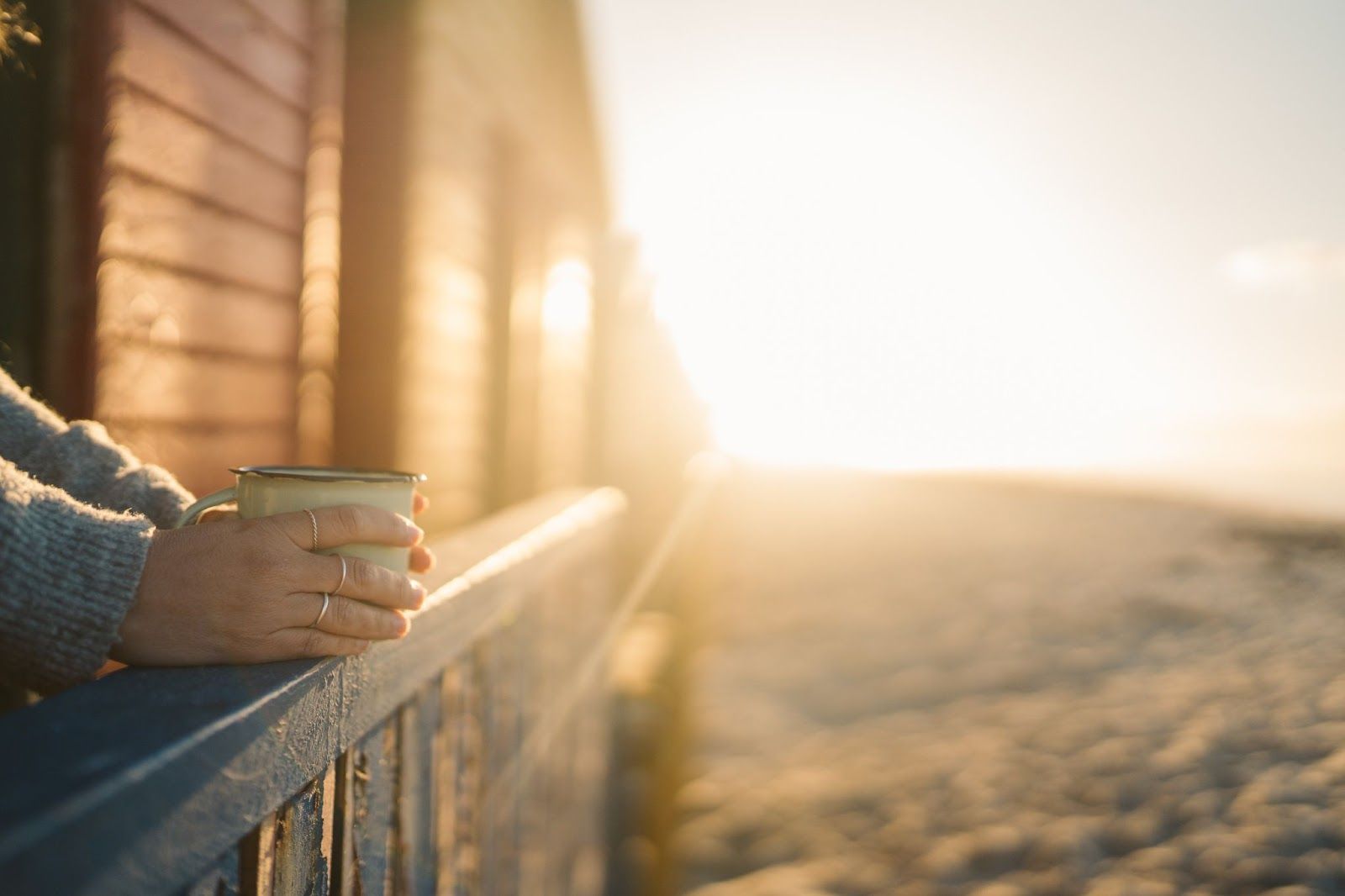 Steal My Morning Routine: Dietitian’s Daily Habits for Fat Loss & Performance