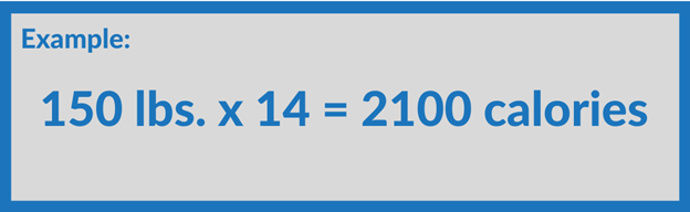 Macro Counting for Fat Loss: The Basics