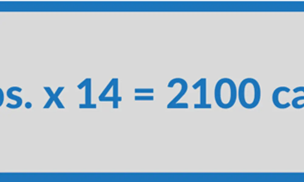 Macro Counting for Fat Loss: The Basics