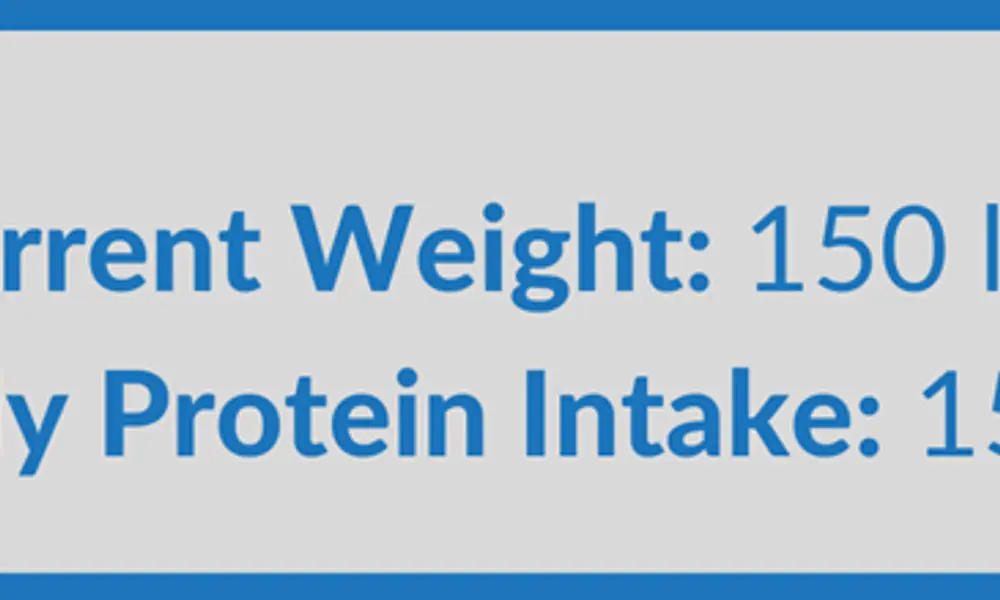 Macro Counting for Fat Loss: The Basics