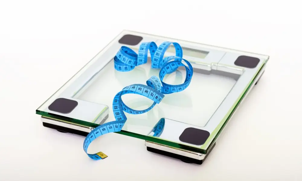 Lose weight on the sirtfood diet