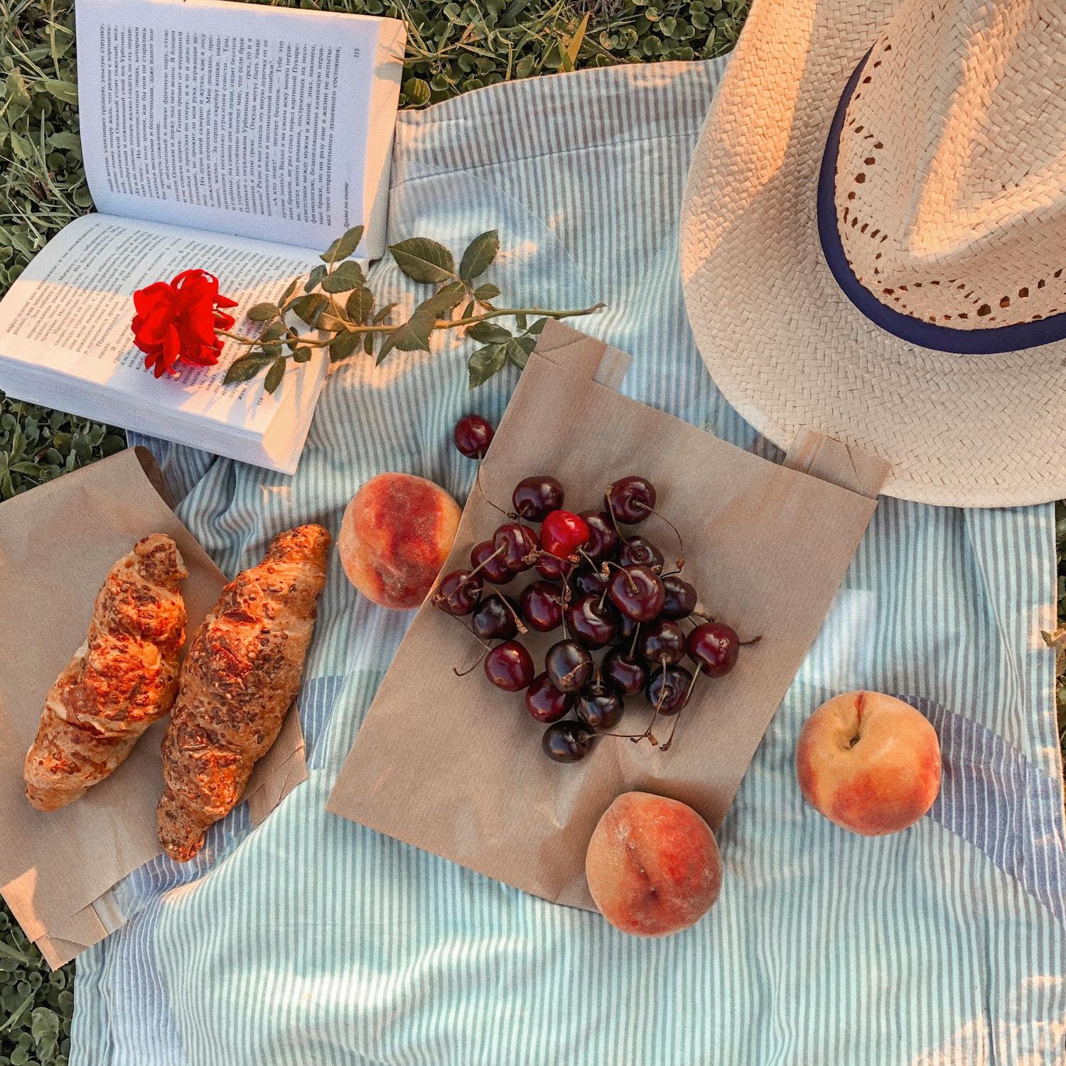 A summer picnic