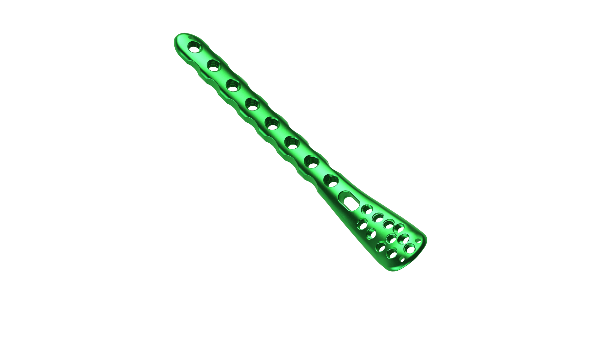 Distal Tibia