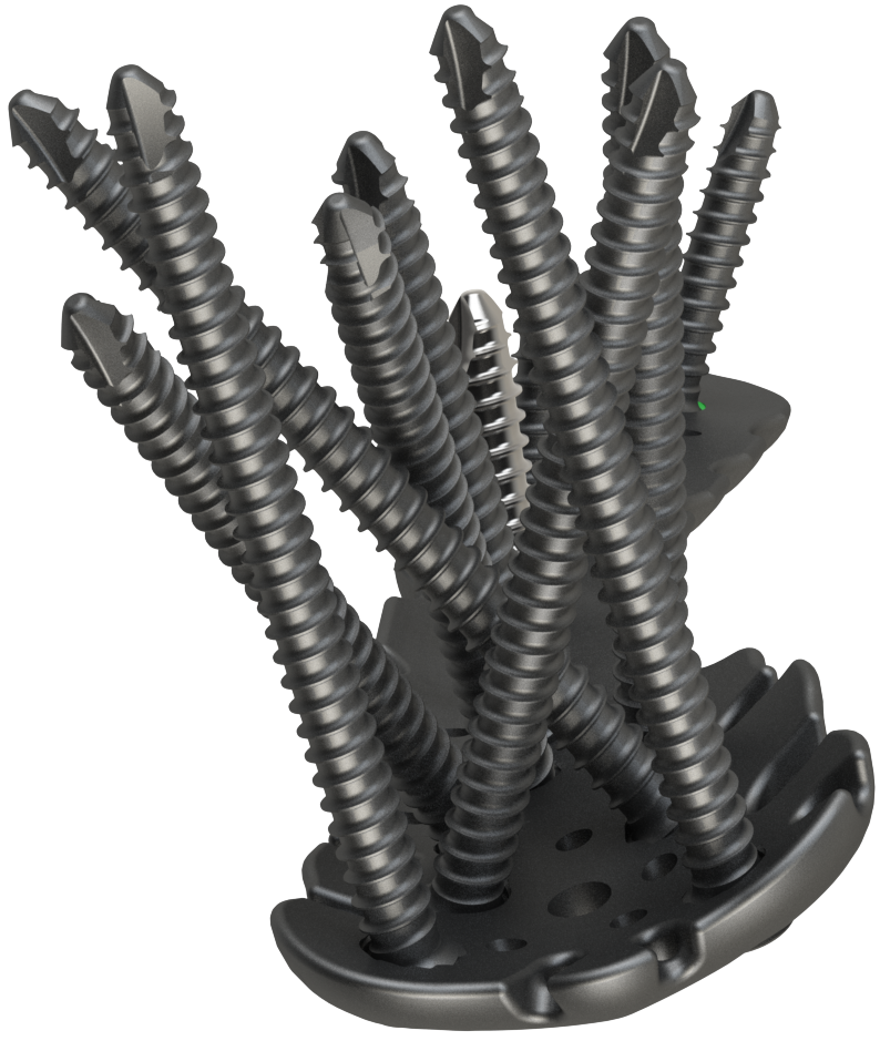 Proximal Humerus Plating System