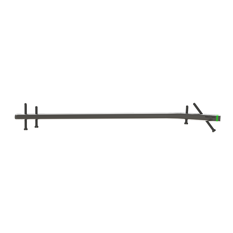 Trochanteric Antegrade Nail