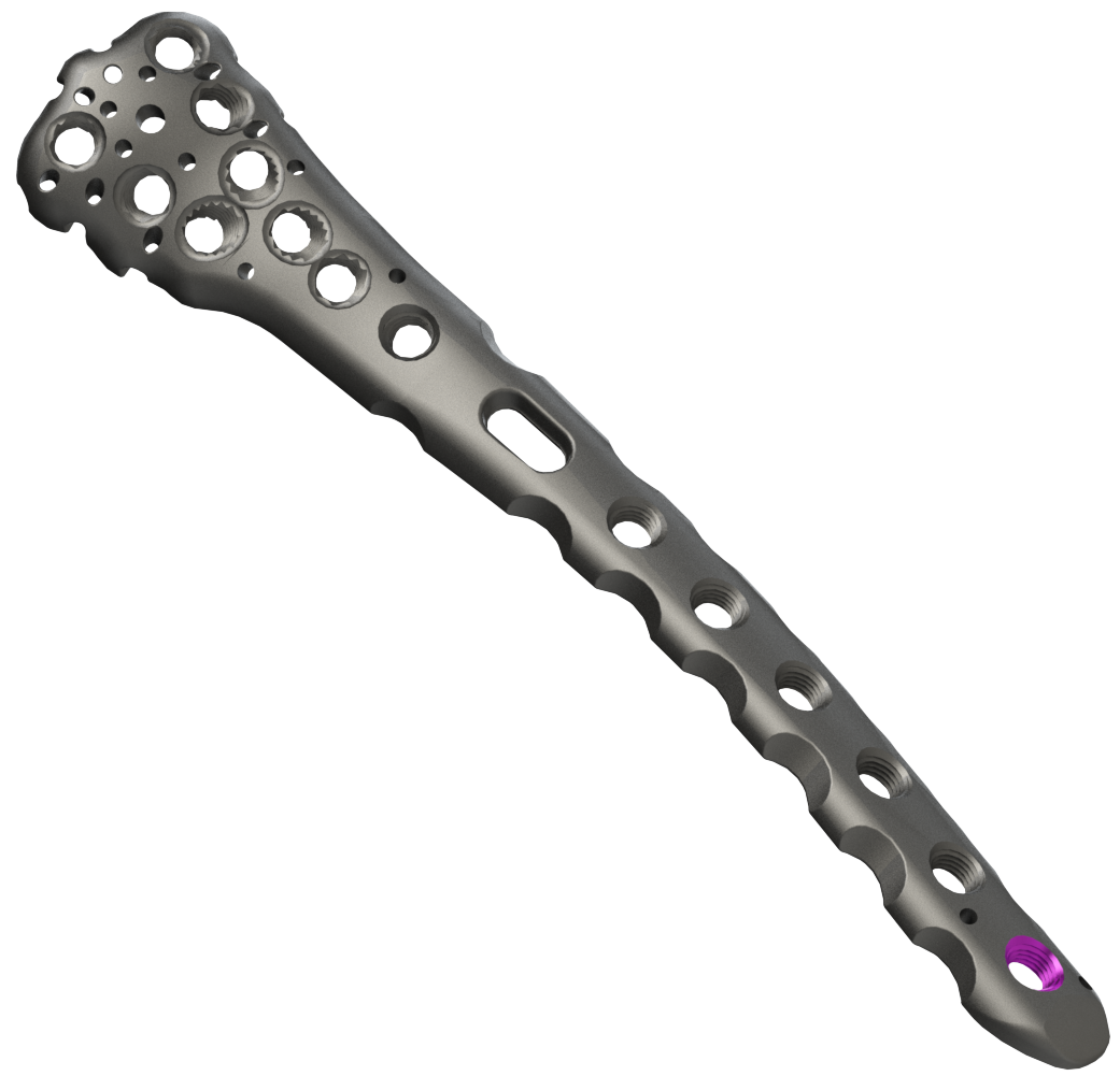 Proximal Humerus