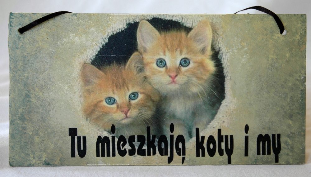 Zawieszka Tu Mieszkają Koty i My