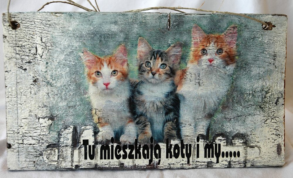 Zawieszka Tu Mieszkają Koty i My