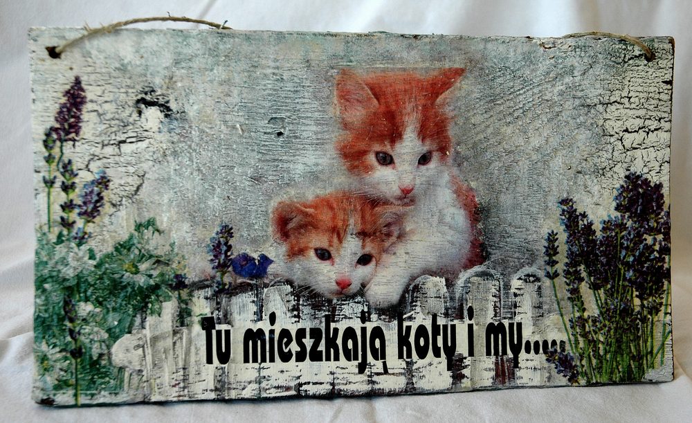 Zawieszka Tu Mieszkają Koty i My