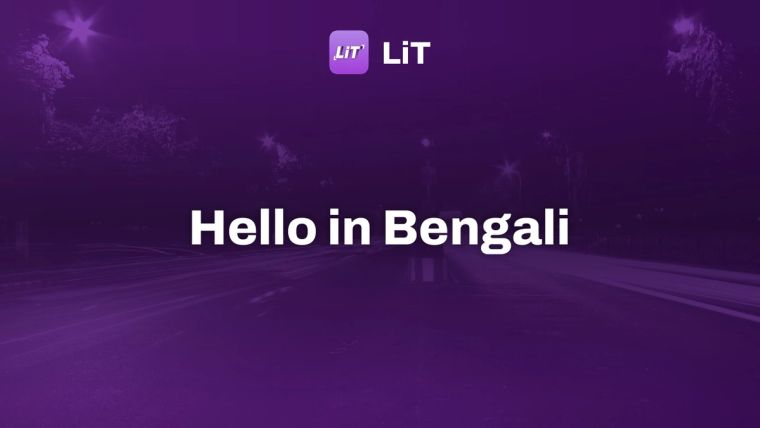 man in red jacket standing on road during night time, tinted purple, titled "Hello in Bengali"