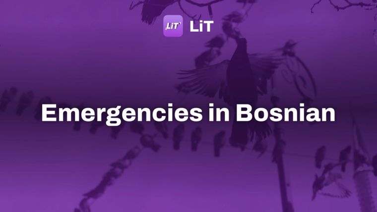A flock of birds sitting on top of a telephone pole, tinted purple, titled "Emergencies in Bosnian"