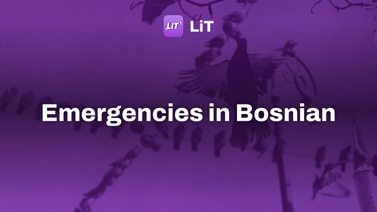 A flock of birds sitting on top of a telephone pole, tinted purple, titled "Emergencies in Bosnian"