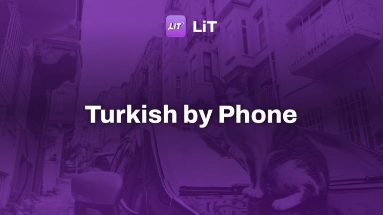 a cat sitting on the hood of a car, tinted purple, titled "Turkish by Phone"