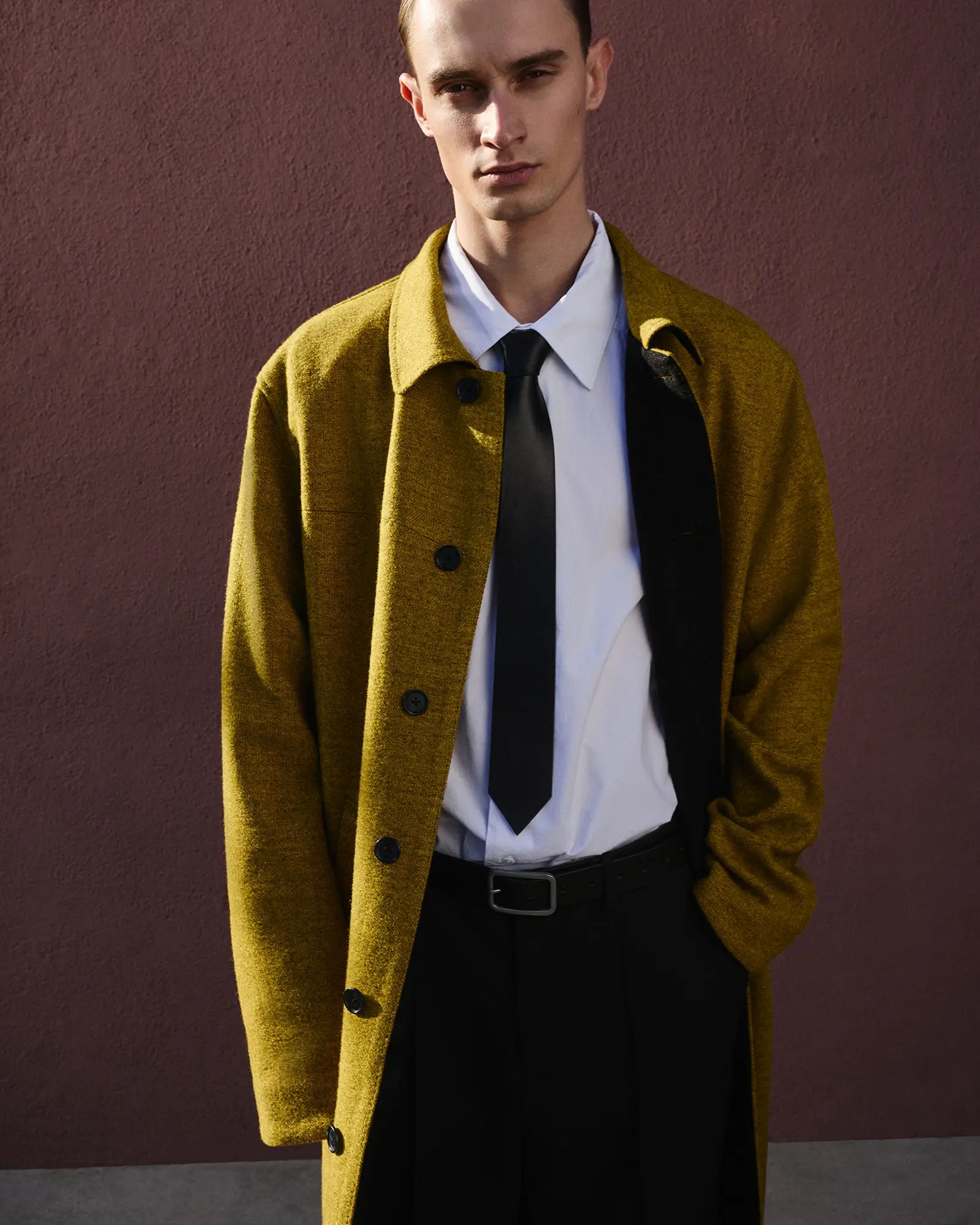 Carcoat Spiced - Image 2