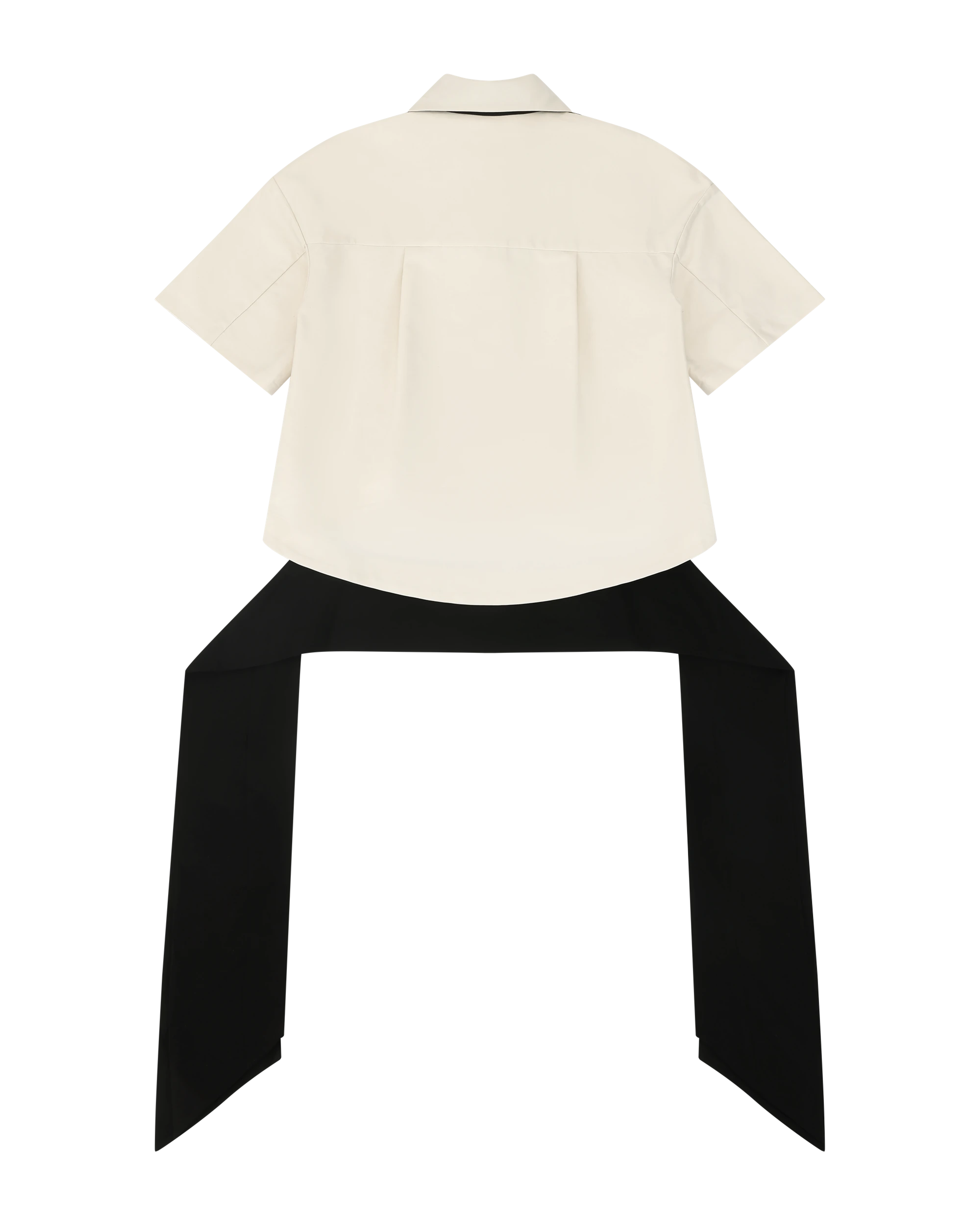 Polo Top Ponge - Image 5