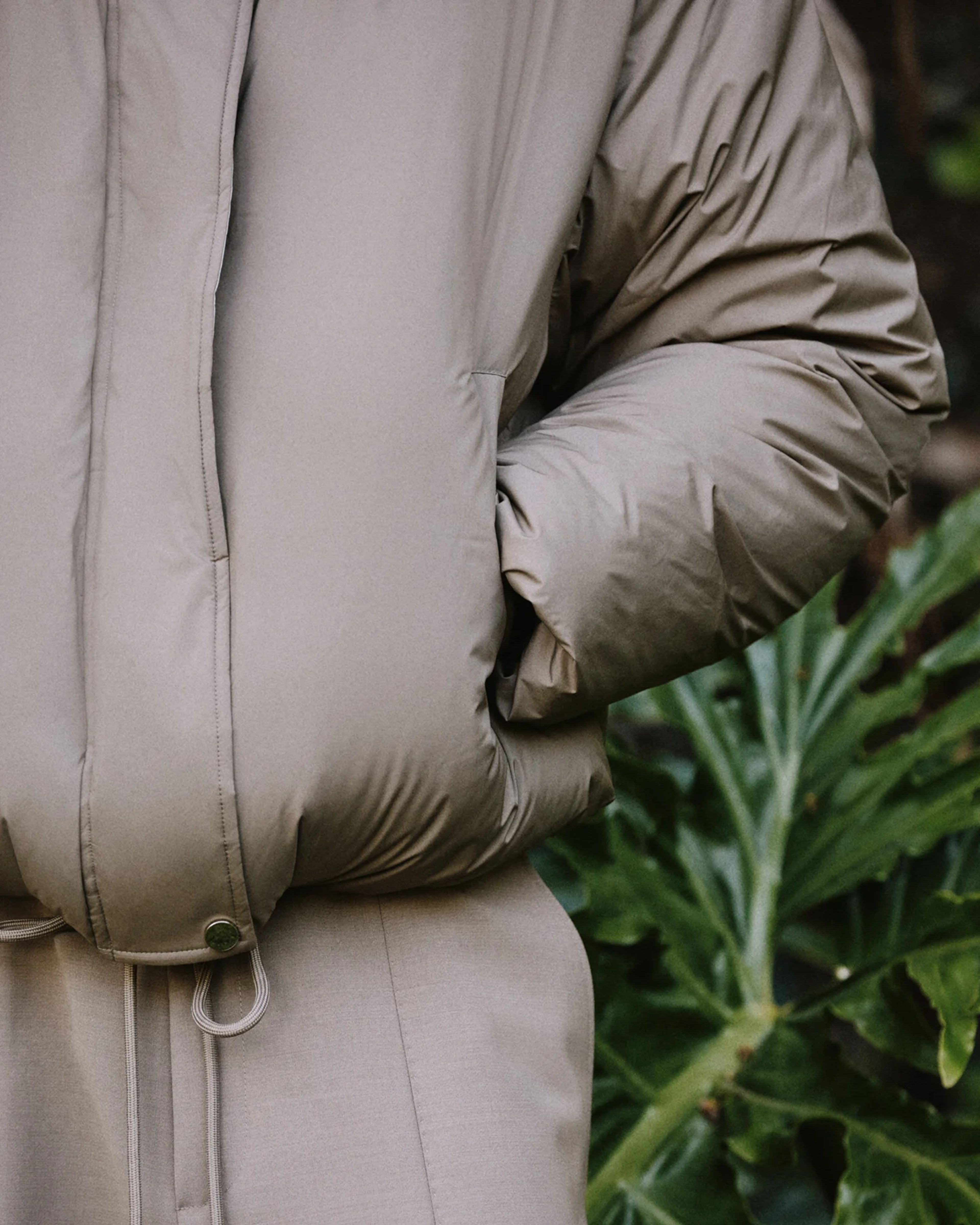 Kelly Jacket Fossil - Image 2