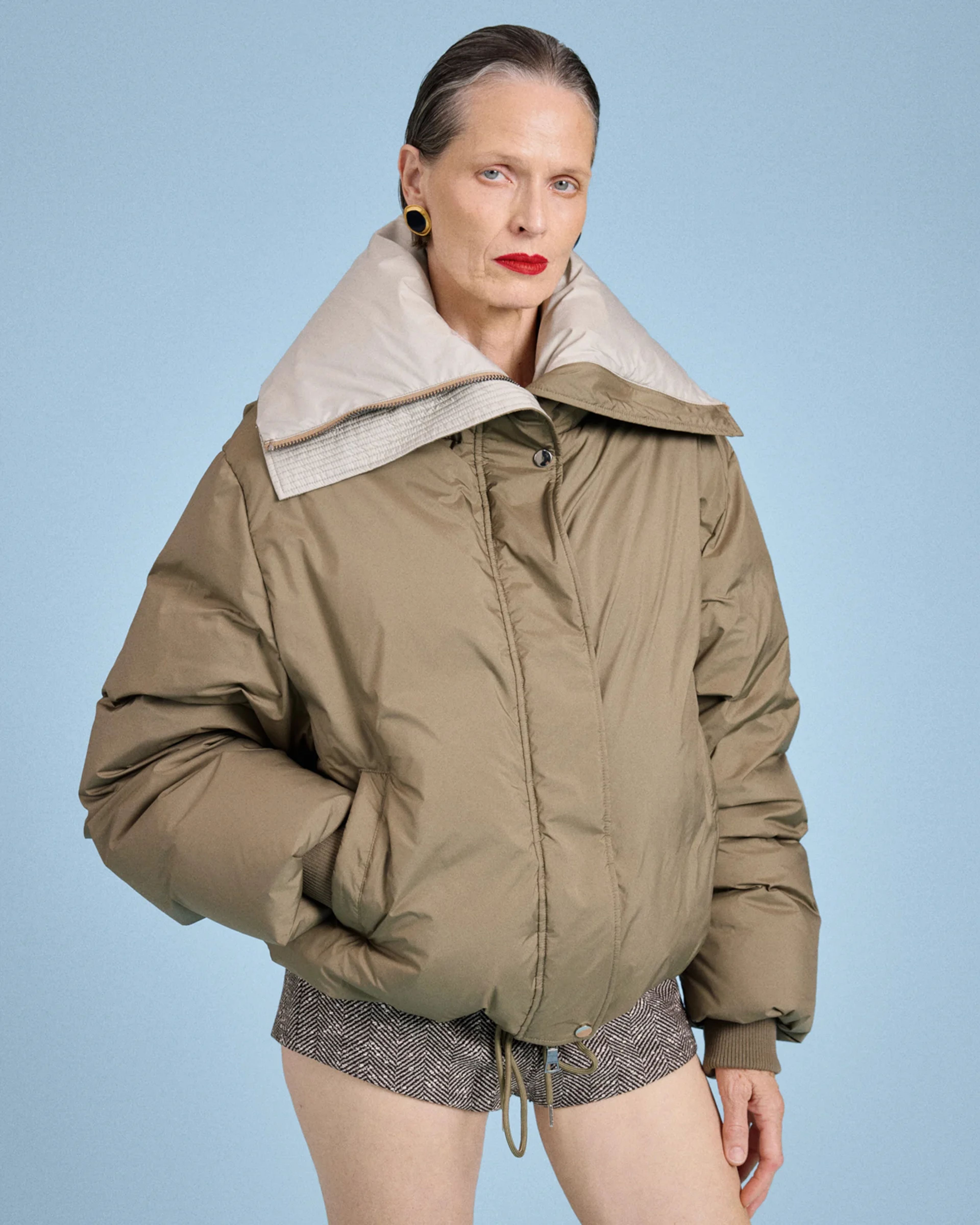 Kelly Jacket Fossil - Image 1