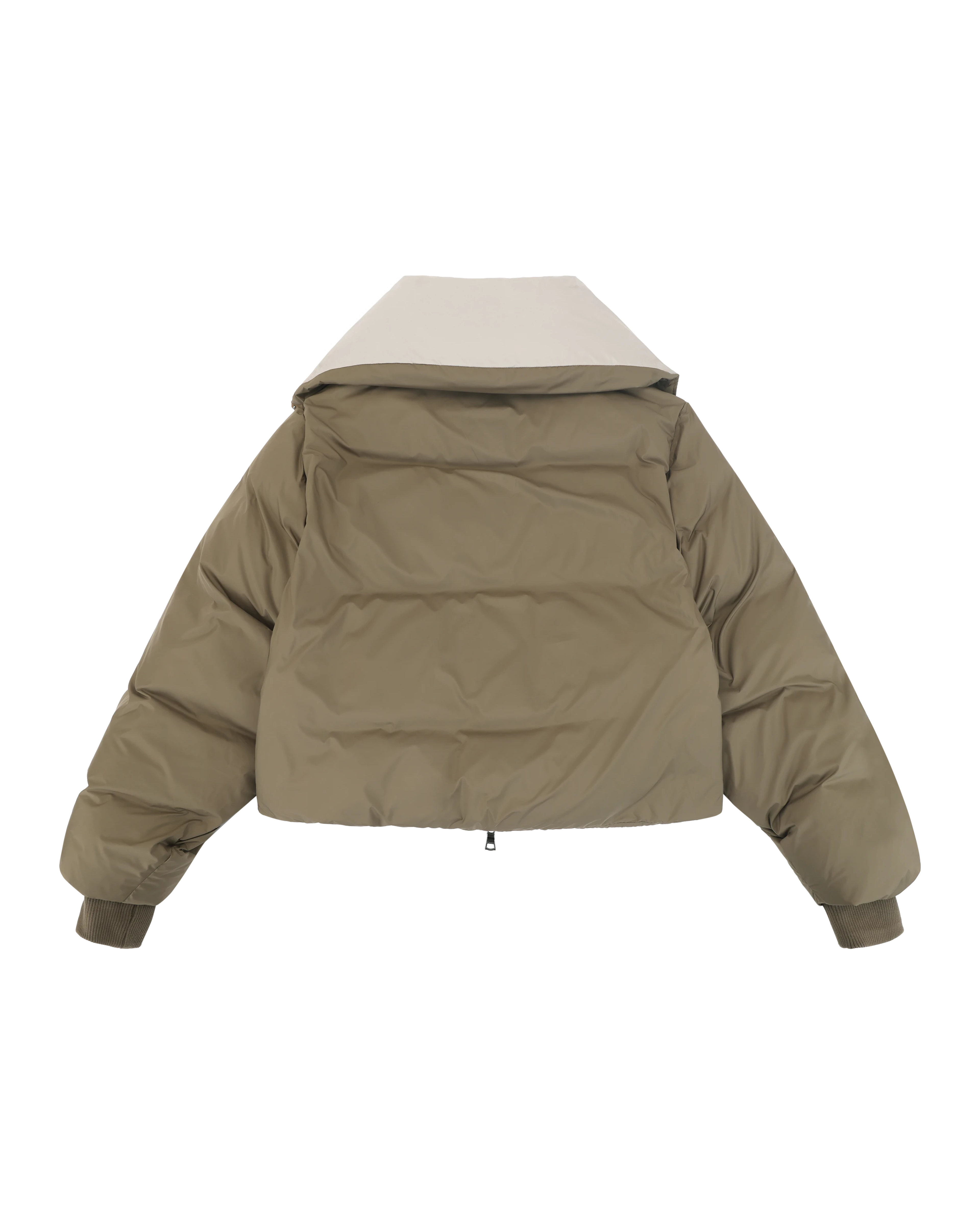 Kelly Jacket Fossil - Image 9