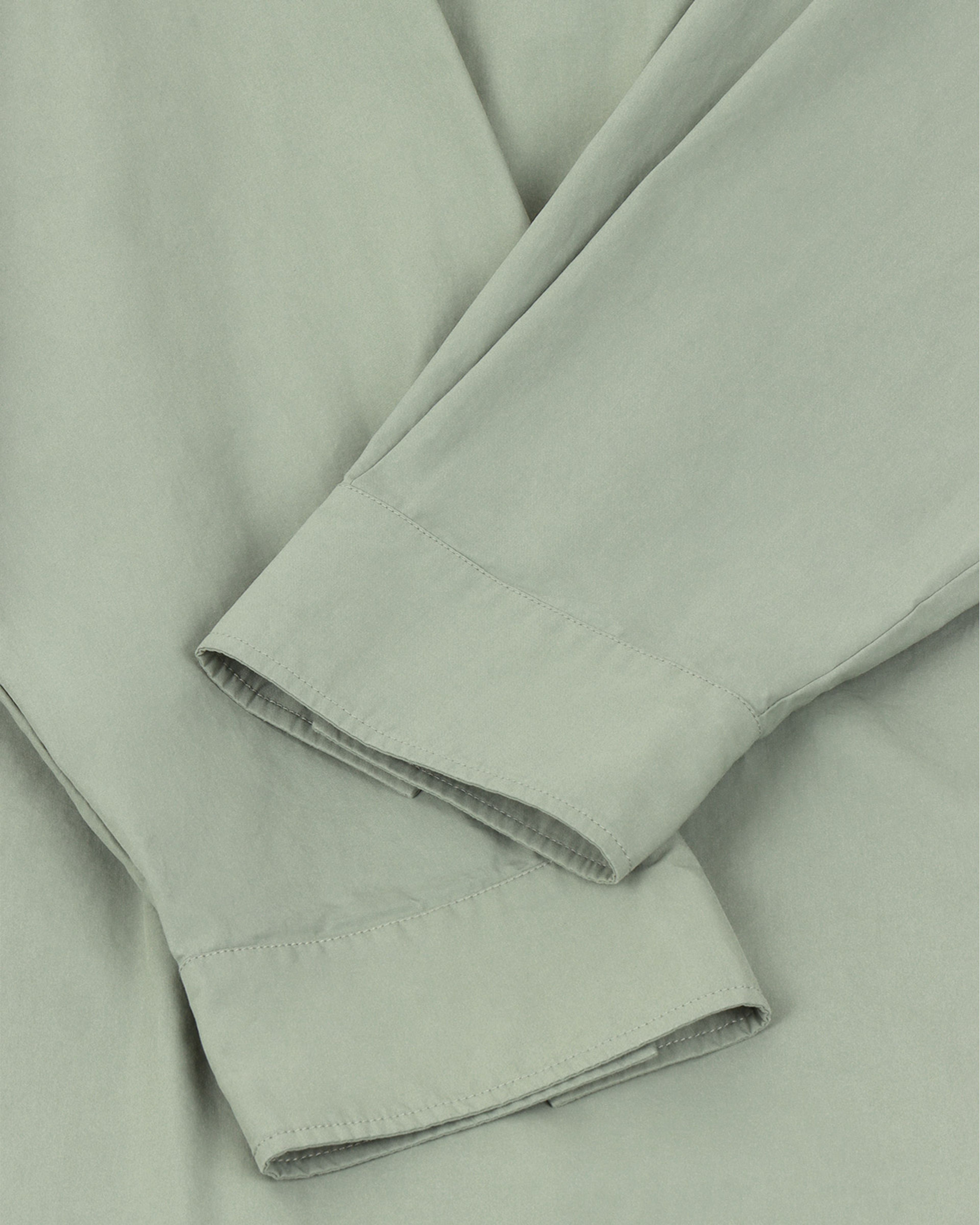 Giant Shirt Seal - Image 3