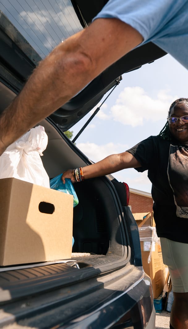 A box of groceries set down in a car