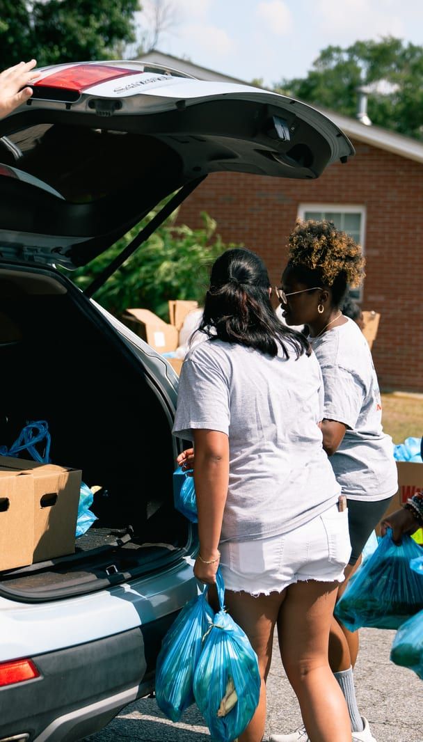 Bags of groceries loaded into a hatchback