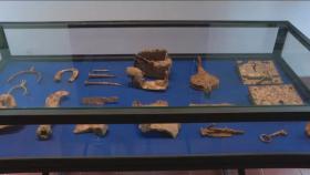 Primeiro museu arqueológico do Rio de Janeiro abre em Nova Iguaçu com acervo de 800 mil anos de história