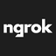 Icon for ngrok