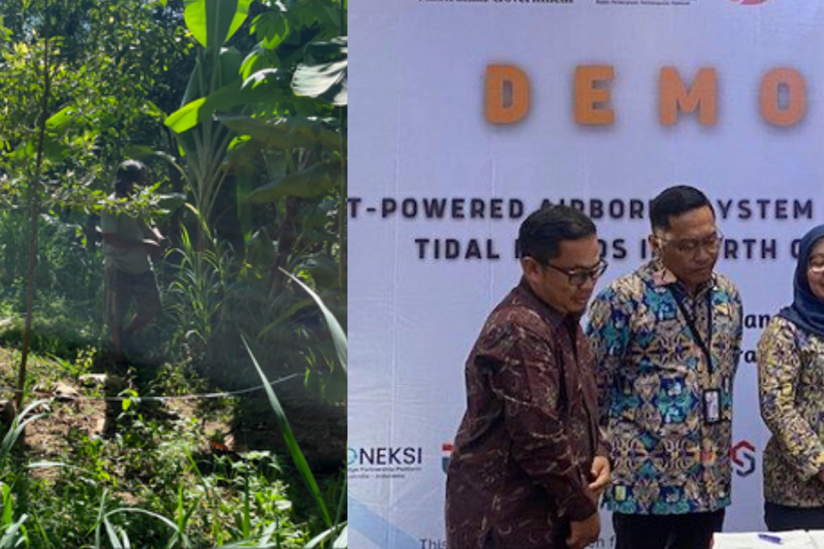 Telkom University Strengthens Climate Action Planning Through Collaborative Research and Carbon Stock Assessment 