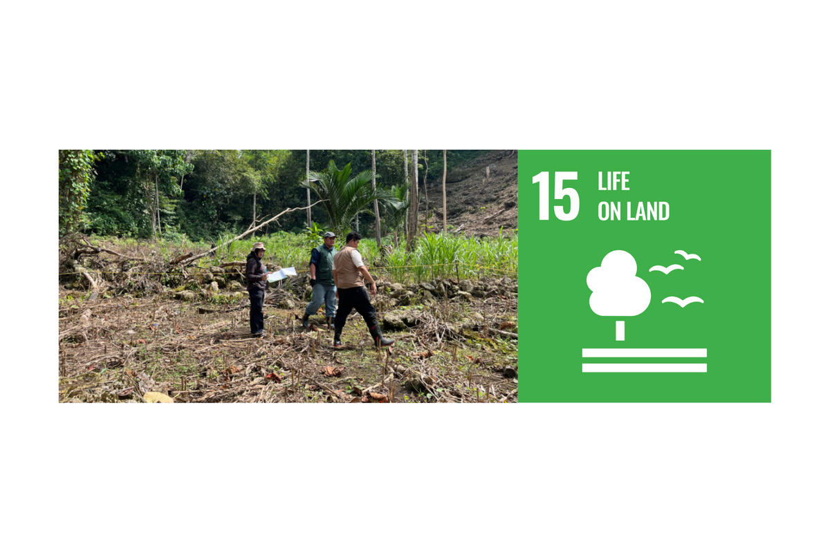 Telkom University Publishes Progress on SDG 15: Life on Land Through Carbon Management and Biodiversity Innovation