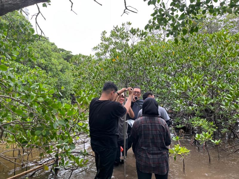 Penyediaan Data Spasial Blue Carbon Mangrove Bersama DKP (Dinas Kelautan dan Perikanan)