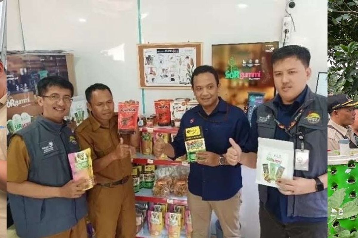 Telkom University Strengthens Sustainable Agriculture through Research Innovation and Farmer Collaboration
