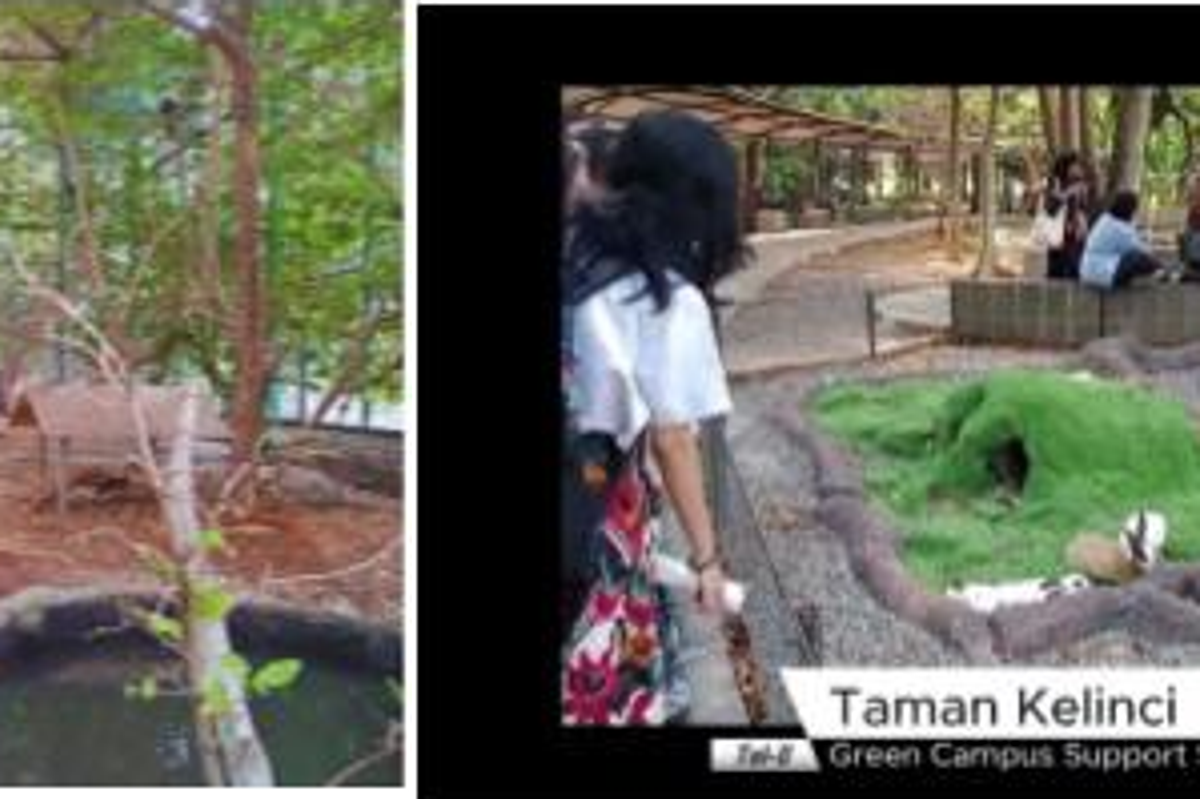 Telkom University Green Spaces: Connecting Nature, Community, and Education