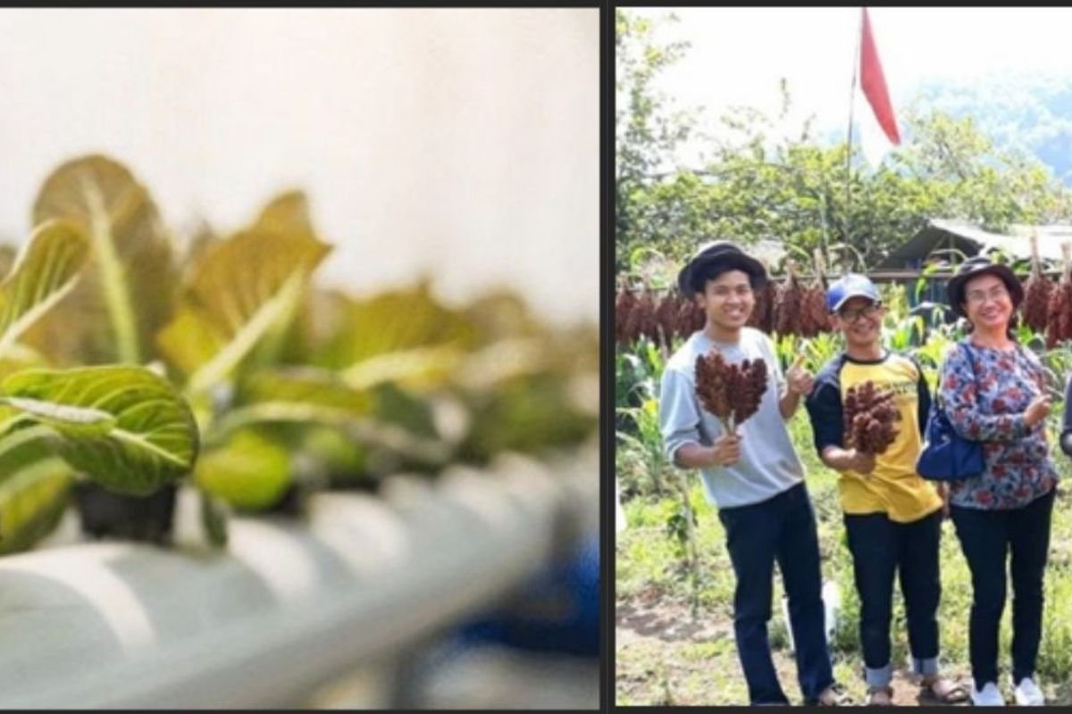 Telkom University Expands Access to Food Security and Sustainable Agriculture Knowledge