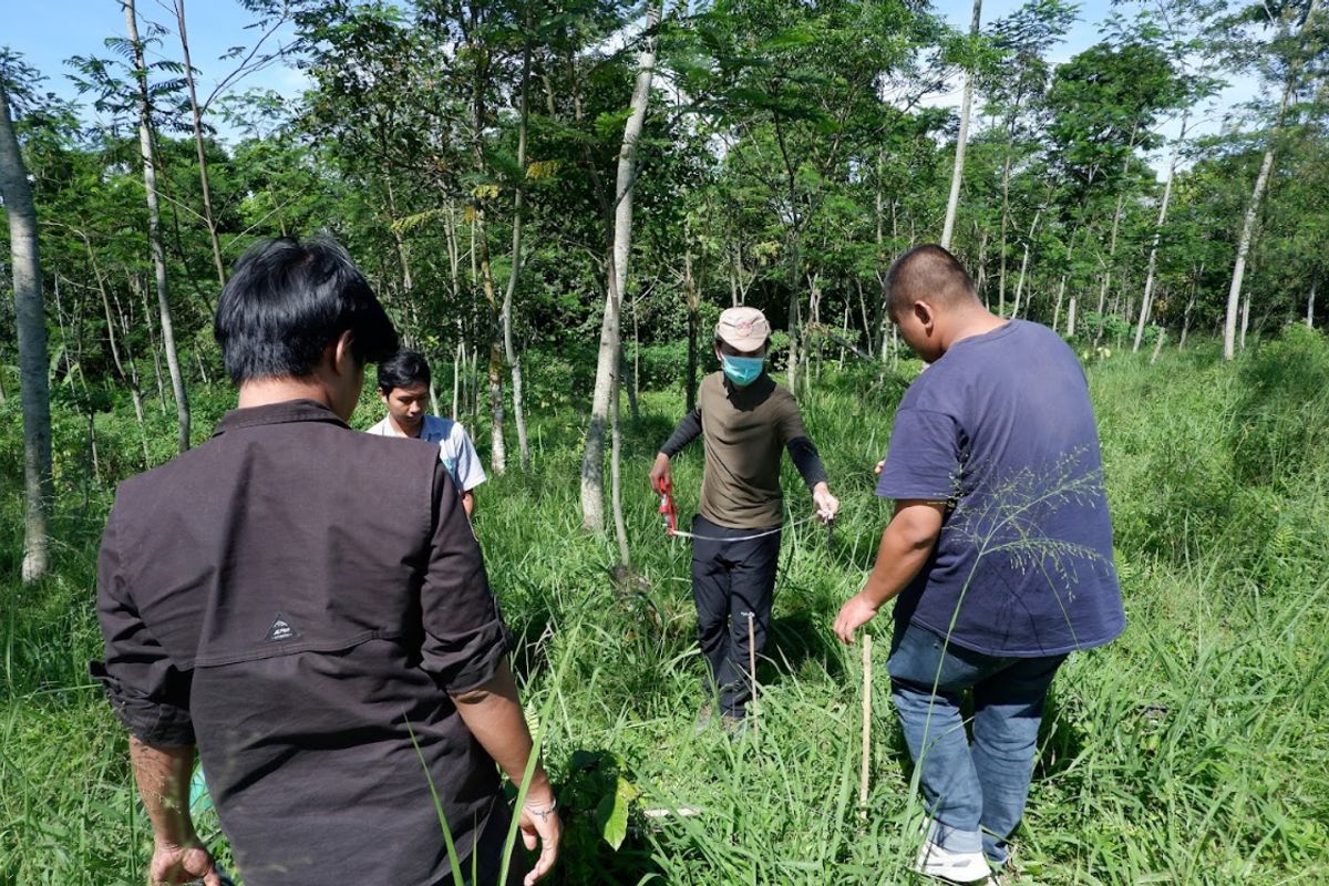 Telkom Group Lakukan Pengukuran Carbon Stock di 25 Lokasi untuk Validasi Dampak Keberlanjutan Lingkungan