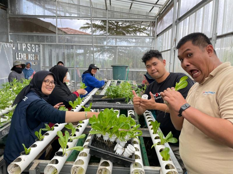 Hydroponic (Teluphoenix)