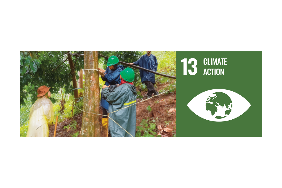 Telkom University’s SDG 13 Report: Advancing Climate Action through Innovation, Research, and Technology