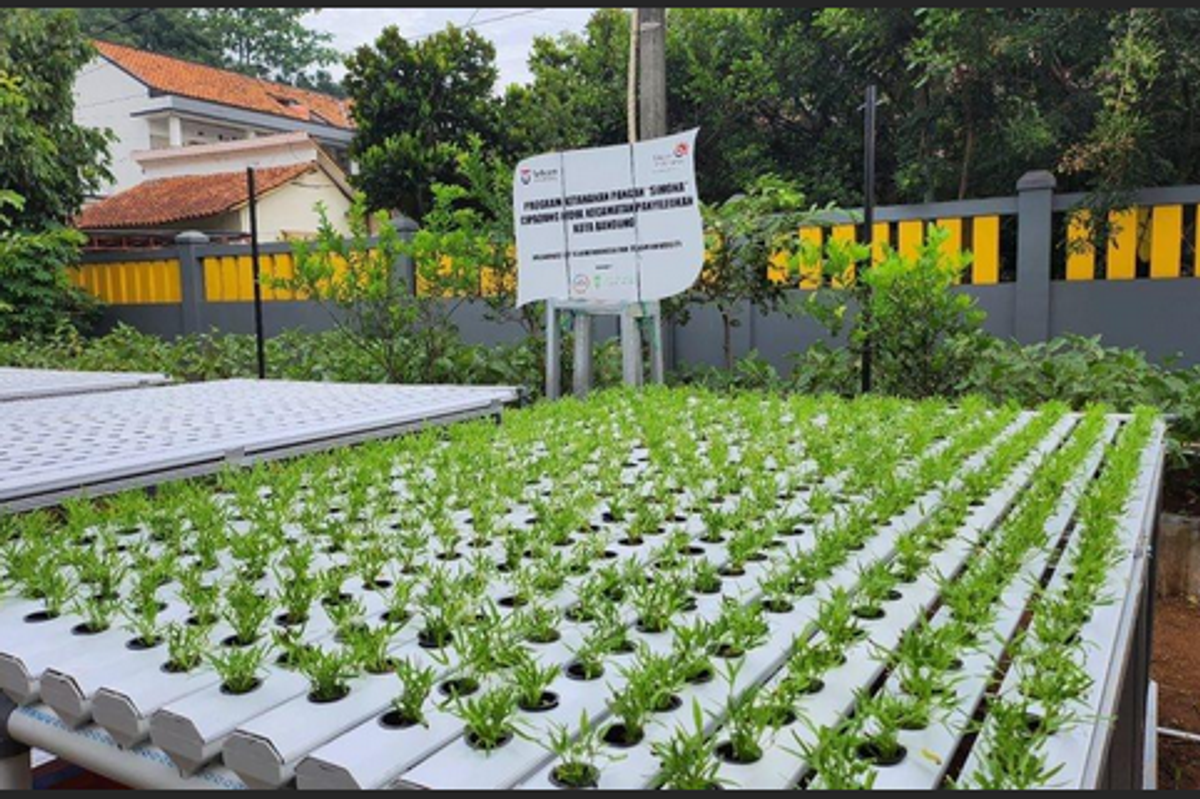 Empowering Digital Economies: Telkom University’s Collaborative Initiatives for SDG 8