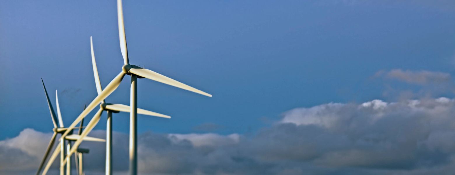 A wind farm stretching to the horizon under a cloudy sky
