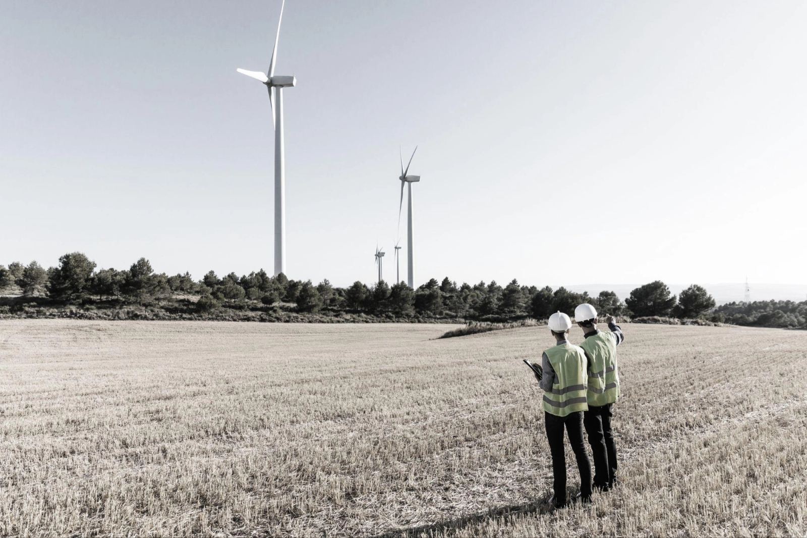 Two field engineers below a line of wind turbines