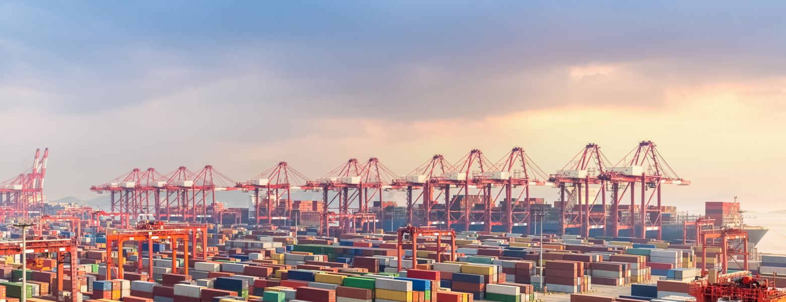 A container yard and gantry cranes at dusk