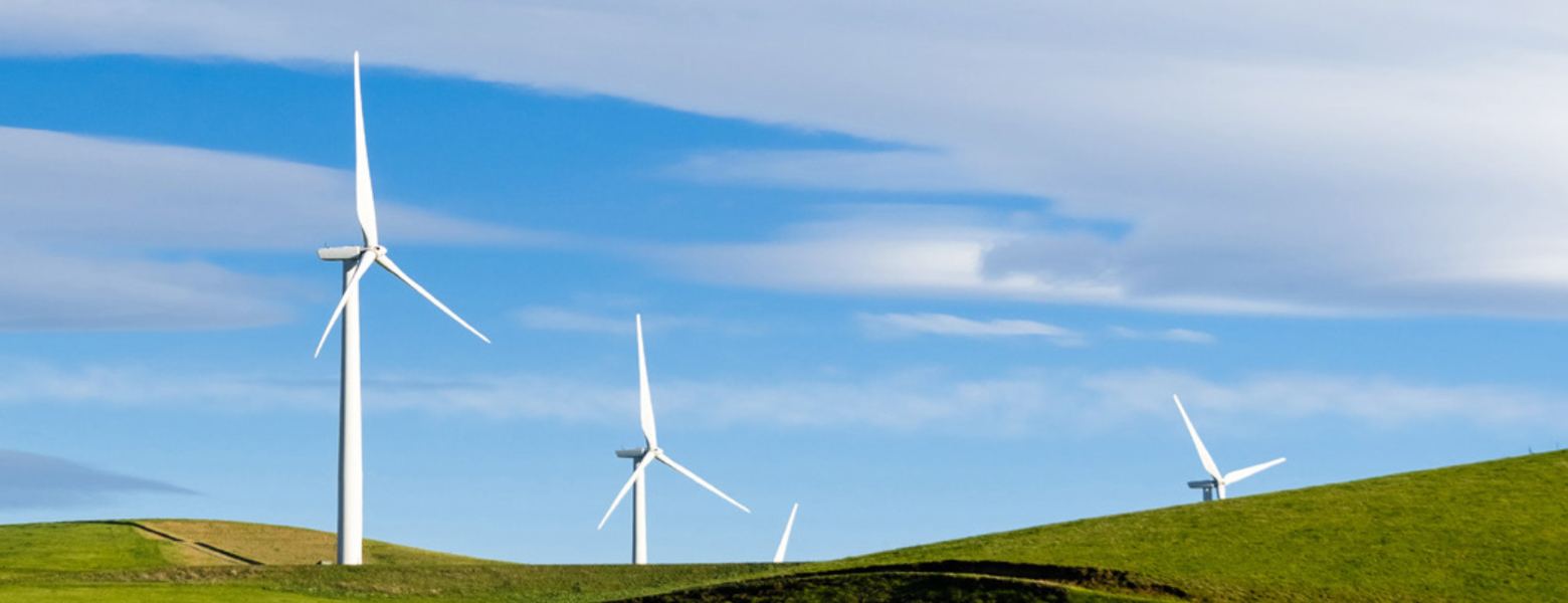 Wind turbines on green coastal hills under a blue sky