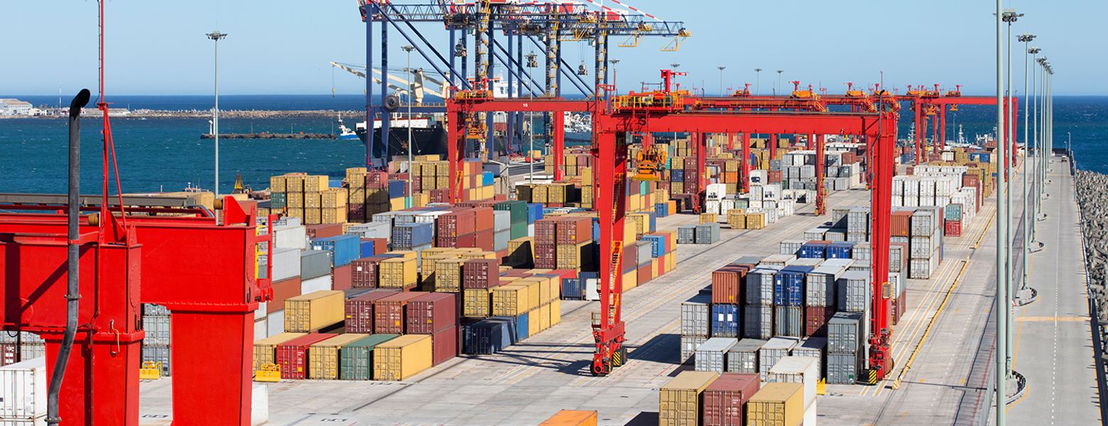 Stacked containers and cranes at a seaside terminal